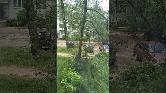 ЛЮБИМЫЕ ПТИЧКИ смотреть онлайн