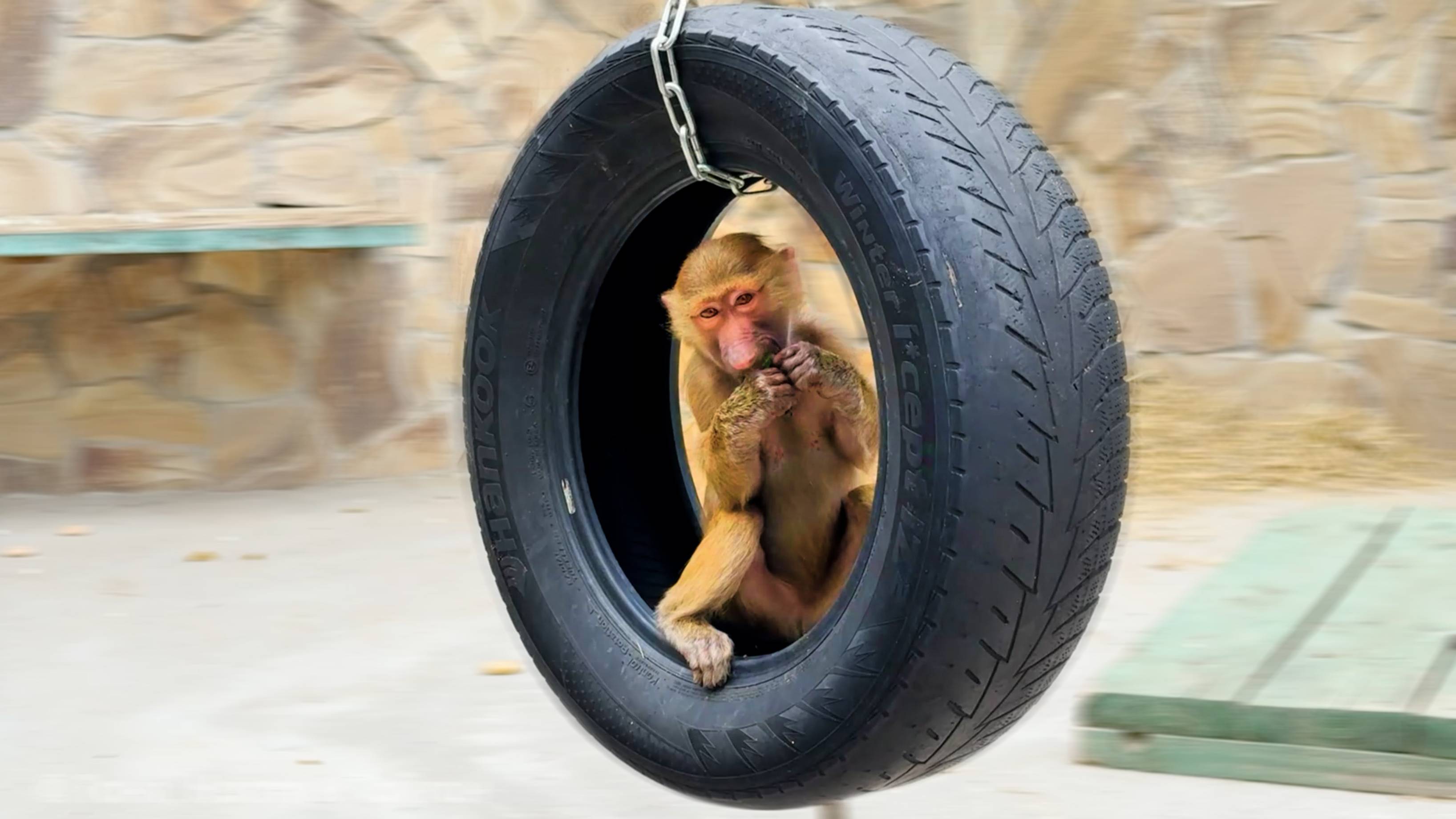 Вот это СПОРТПЛОЩАДКА для Люсиной компании! У каждого свое развлечение, в перерывах от угощений! смотреть онлайн
