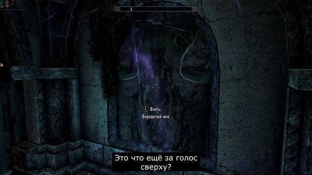 The Elder Scrolls V  Skyrim: Гости Потемы