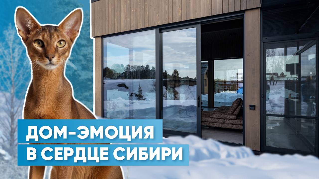 Дневники архитектора | Обзор дома-эмоции в сердце Сибири | Новосибирск, SAVIN & SAVINA STUDIO смотреть онлайн