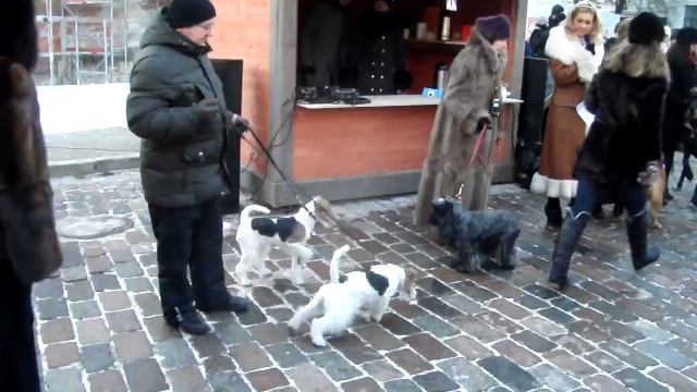 на празднике дня рождения Холмса 28 1 2012 Доская площадь смотреть онлайн