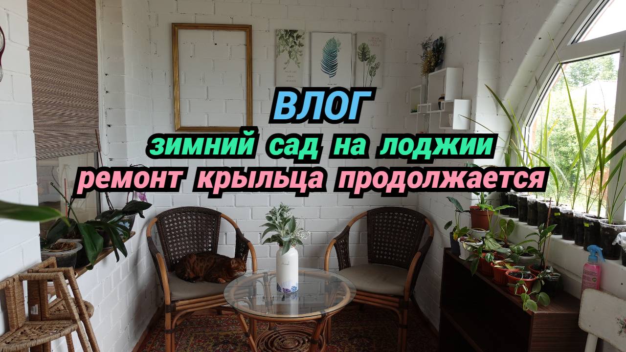 Новый влог/Зимний сад на лоджии/Ремонт крыльца продолжается/Новая стрижка смотреть онлайн