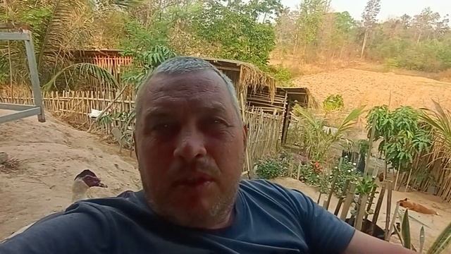 Кризис накрывает Таиланд, иностранцы под раздачей смотреть онлайн