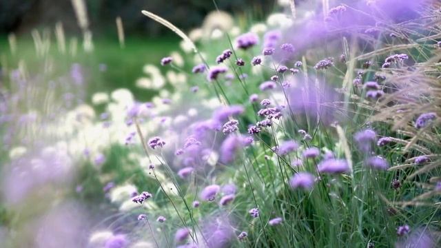 ВОССТАНОВЛЕНИЕ НЕРВНОЙ СИСТЕМЫ💖🌿💖🌿 Шум ручья 💙 ? смотреть онлайн