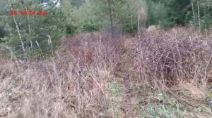 Покатушки ПВХ лодка Гладиатор 330 см длина