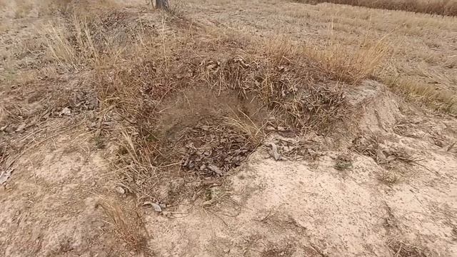 На какой глубине в Таиланде питьевая вода смотреть онлайн