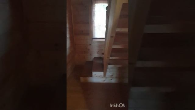 Лисицкий бор смотреть онлайн