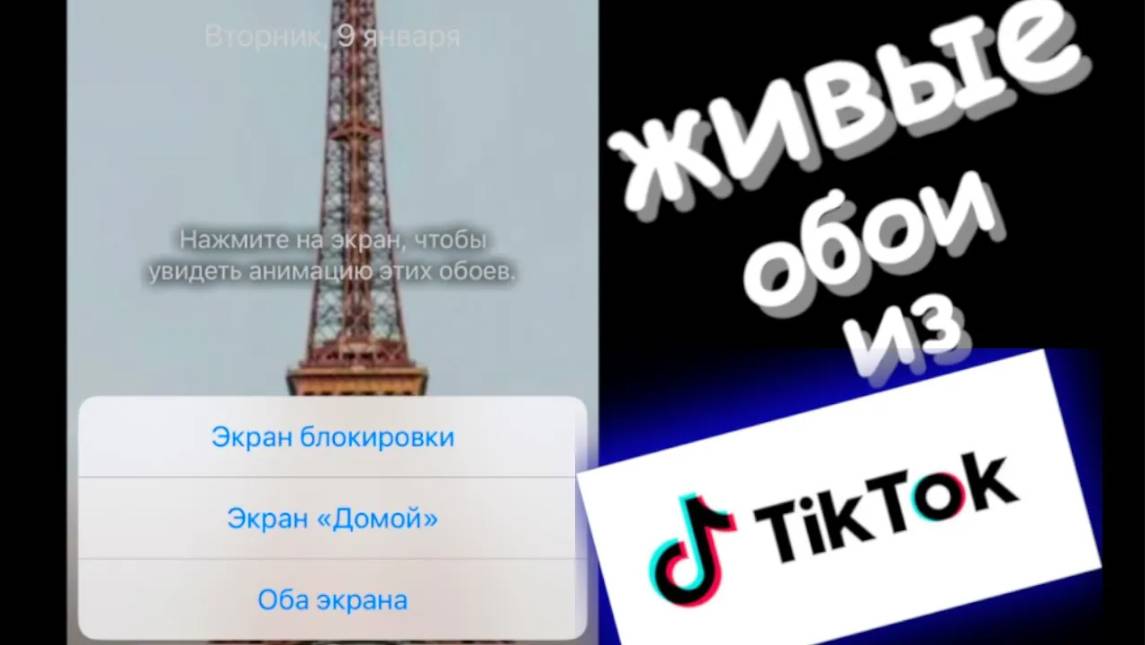 Как поставить живые обои из Тик Тока на Айфон смотреть онлайн