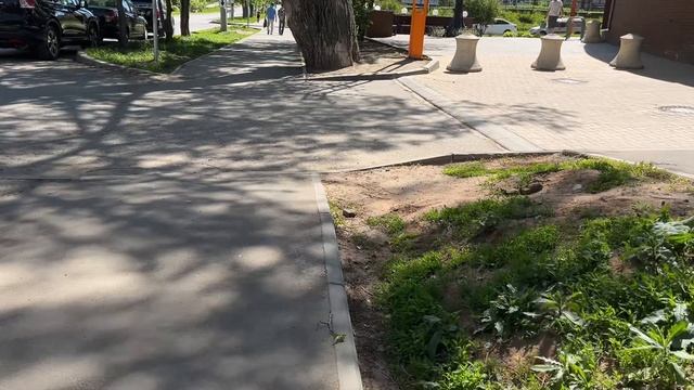прогулка по городу 23 смотреть онлайн