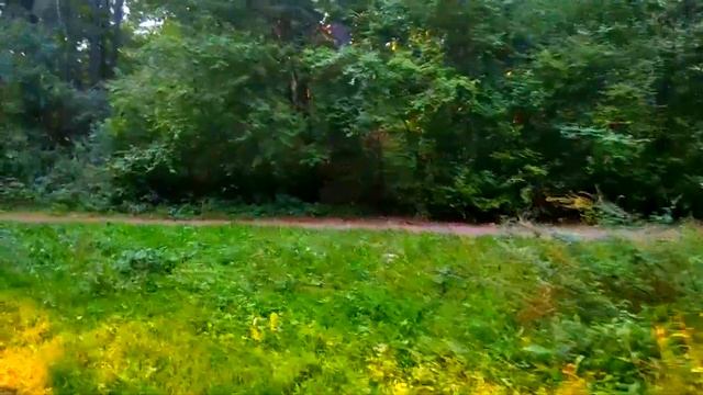 Есенин С. А.  Гой ты, Русь моя родная! Yesenin S. A. Goy You, My Dear Rus