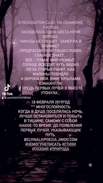 Ворона. Стихи. Светлана Мишина. Природа и птицы. #стихи смотреть онлайн