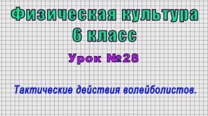 Физическая культура 6 класс (Урок№28 - Тактические действия волейболистов.)