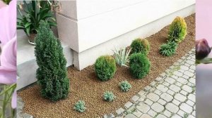 Керамзит в ландшафтном дизайне и растениеводстве