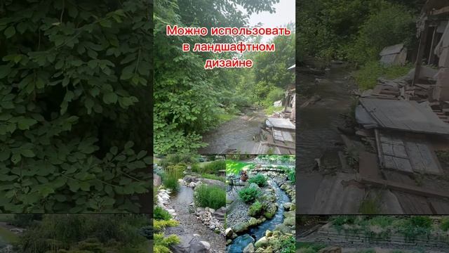 02-06-2025 смотреть онлайн