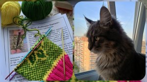 Вязальный эпизодик🧶Вяжу "Клубничные воришки"🍓