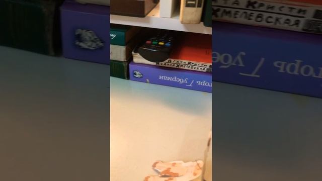 Бумаги собачник история смотреть онлайн