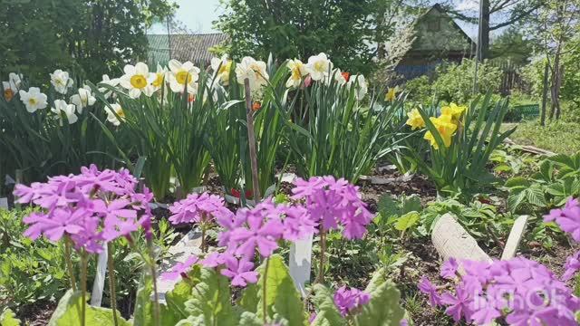 в гостях на даче смотреть онлайн