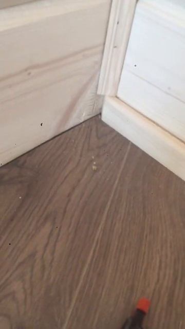 Сосновый бор доделки смотреть онлайн