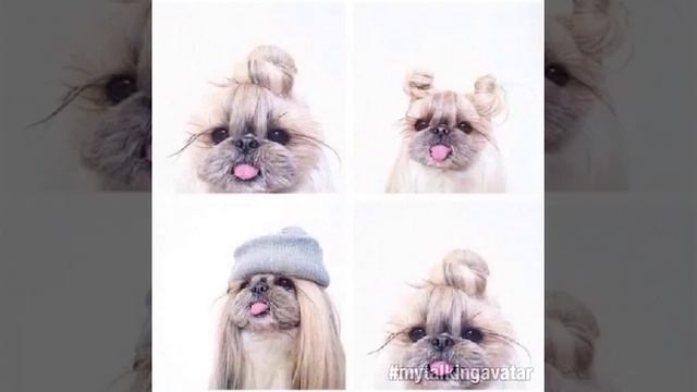 Обои часть первая смотреть онлайн