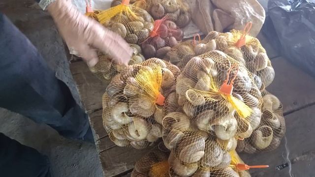 Будьте осторожны⚡случайно можете попасть в Лаос смотреть онлайн