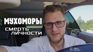 Настоящее духовное пробуждение - это ужас!!! Оно тебе надо? / Ретрит Мухоморы