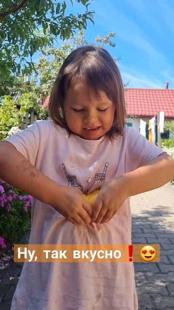 Когда Хочу Сладенького - Бегу на ОГОРОД🤣🍅 #жиза#юмор# смотреть онлайн