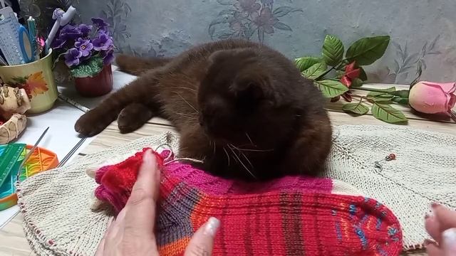 #понедельные_старты_ итоги #Украина_вяжет_дружно ///Три старта-два финиша ///Мои готовые работы смотреть онлайн