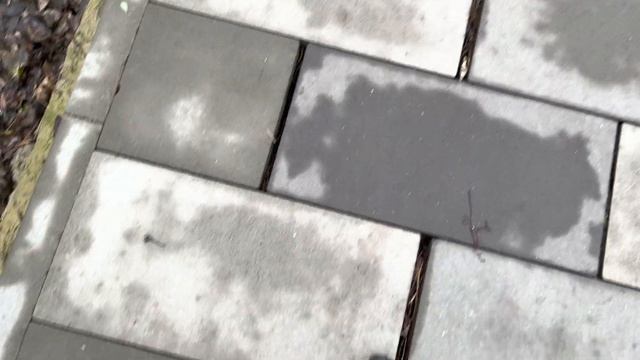 Приморский парк Таганрог