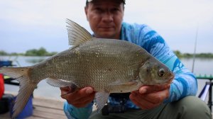 Рыбалка на карася летом с донками