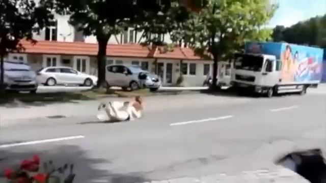 Неловкий момент смотреть онлайн