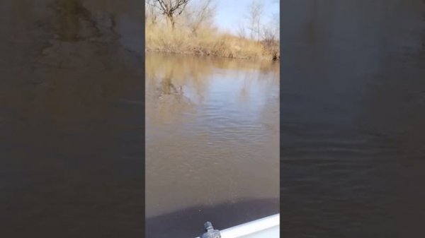 лодочный мотор омолон(марлин) 3.5 лодка ревьера 320 килев