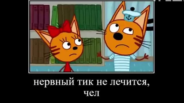 МУД ТРИ КОТА