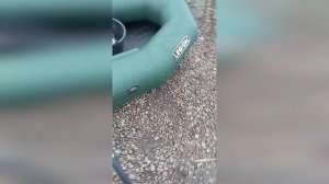 Надувная лодка ПВХ Legion-270Н