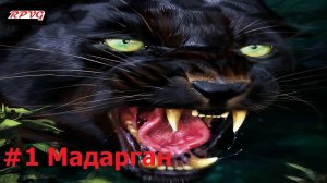 Прохождение Paradise - Серия 1: Мадарган