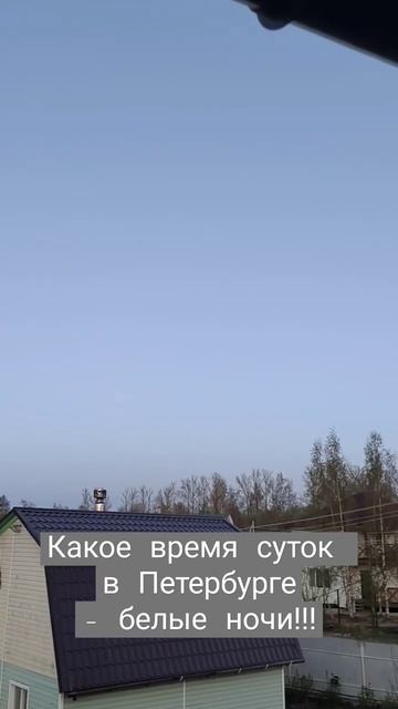 Какое время суток в Петербурге? Белые ночи!!! #4д #четыре смотреть онлайн