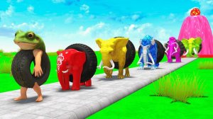 Мультики для детей про жабу. Детские мультики про животных. Мультики про Слонов и лягушек