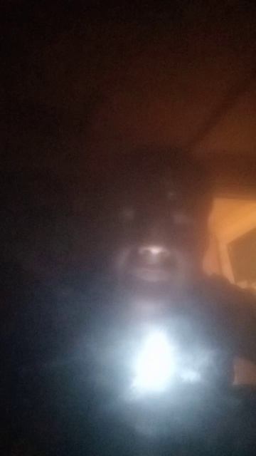 Когда собираюсь на свидание, а из подмышек сильно воня смотреть онлайн