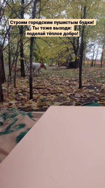 Достроили будку пушистым!Все доски-с улицы!То-ко утепл