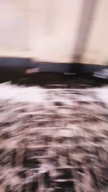 кормить голубей хлебом булочкой смотреть онлайн