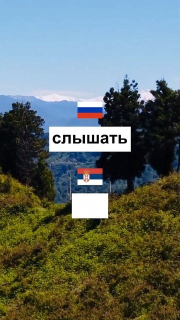 Учим сербский каждый день. Упражнения и викторины на с смотреть онлайн