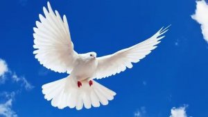 Песня Разговор с богом Алла Розвадовская Поговорим песни о Боге.mp4 (360p)