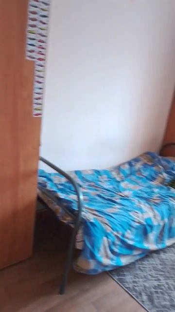 это общежитие на тамбовской21 красноярский край #tobe #эл смотреть онлайн