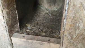 Обогрев в будку для собаки