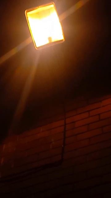 Уличный светильник ЖКУ-28.250 (ДНАТ). Ночная версия