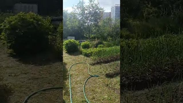 Дача 02.06.2025 смотреть онлайн