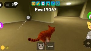 все секреты игры котят в роблокс
