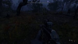 S.T.A.L.K.E.R. 2 Где найти снайперку СВДМ-2?