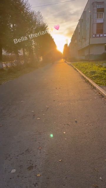 красиво😍 #квадробика #красивыйвид #эстетика #furry #cat #т? смотреть онлайн