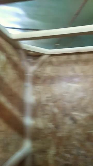 Душ#ОСБ смотреть онлайн