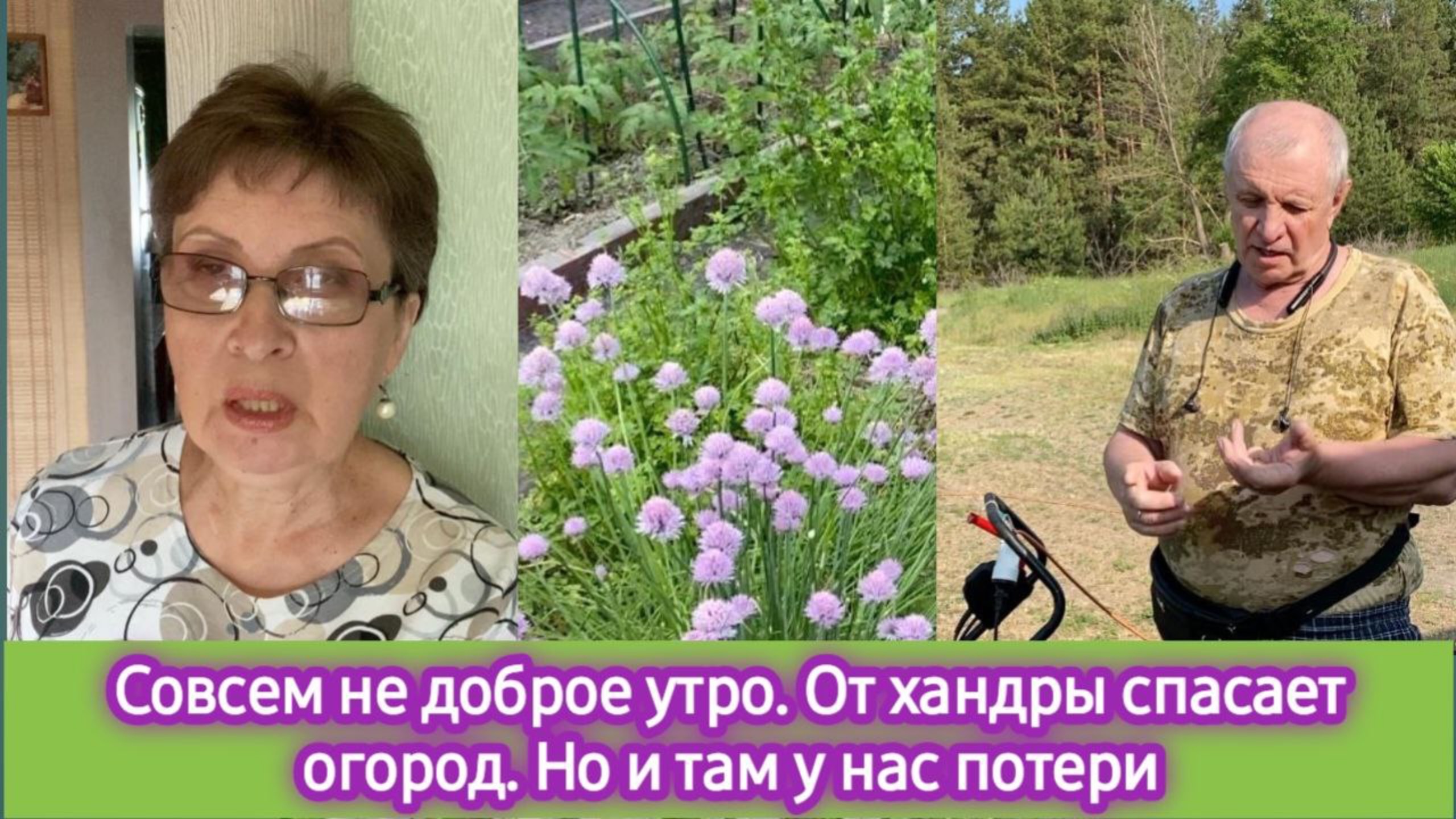 Совсем не доброе утро. Спасаюсь от хандры на огороде. Но и там у нас потери смотреть онлайн